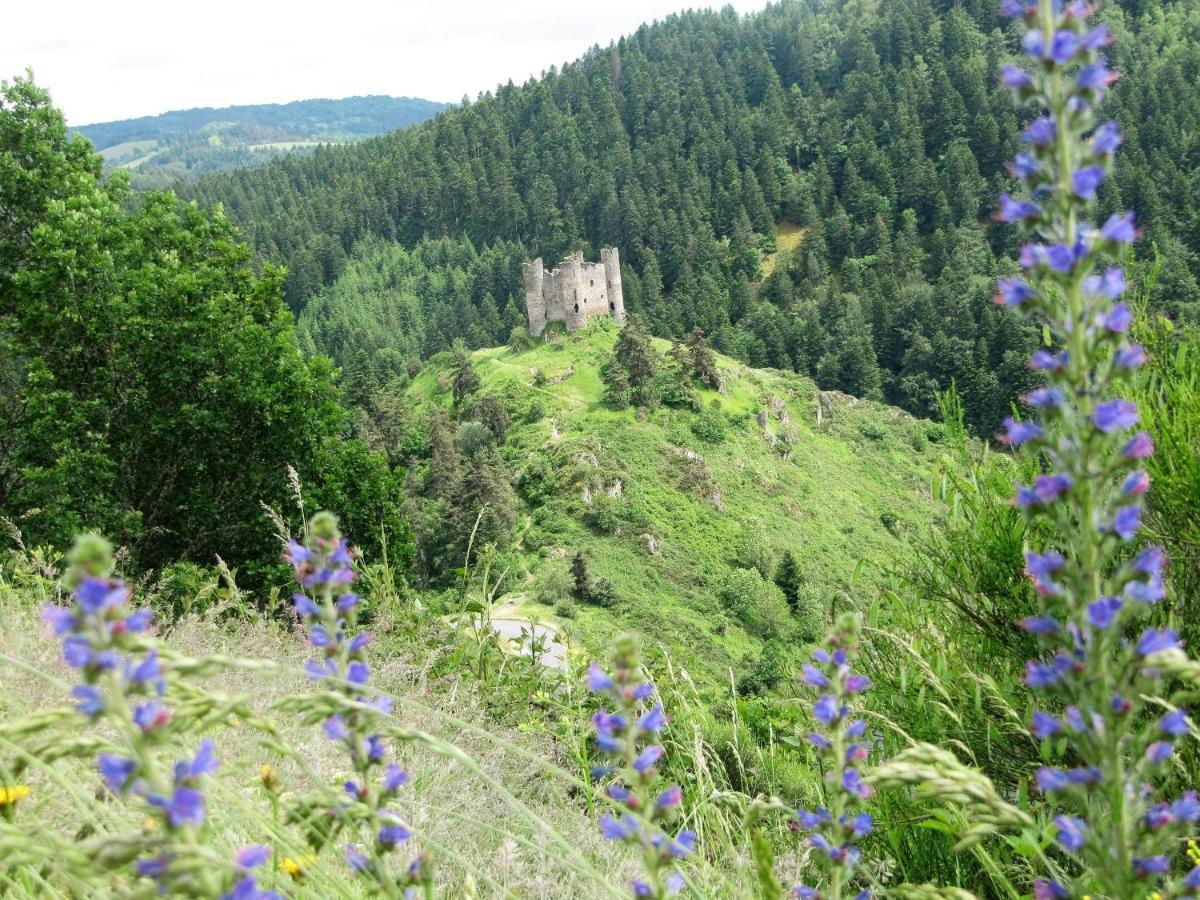 Hotel Des Rochers Marvejols Εξωτερικό φωτογραφία